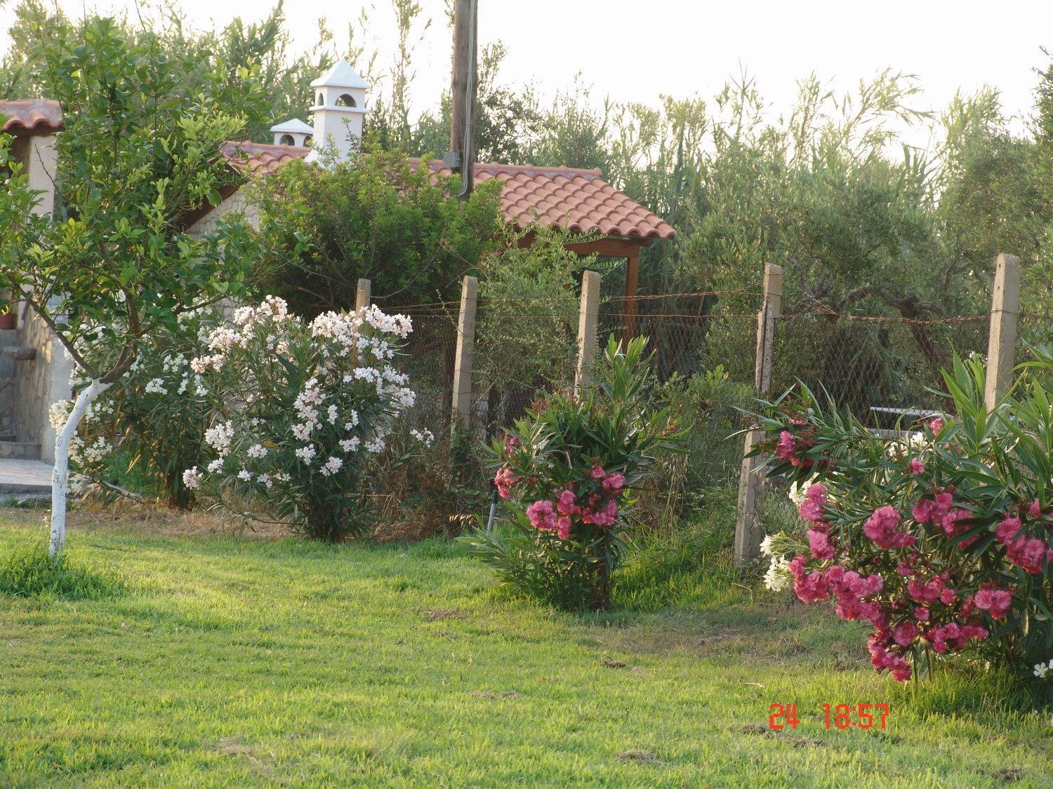 Terpsichore Apartments Kyparissia Exterior foto